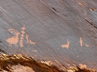 Clear images from Petroglyph Canyon